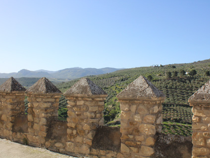 Baena - La Almedina