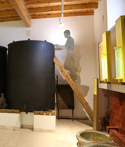 Museo del Olivar y el Aceite