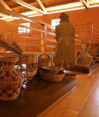 Museo del Olivar y el Aceite