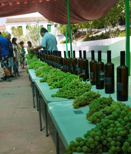 Mercado Llano del Espinar