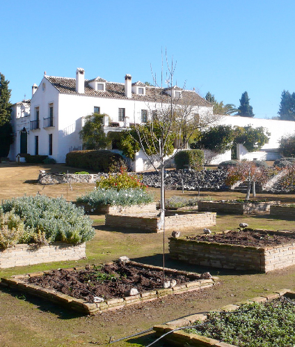 Molino de Suerte Alta
