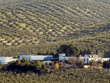Molino de Suerte Alta