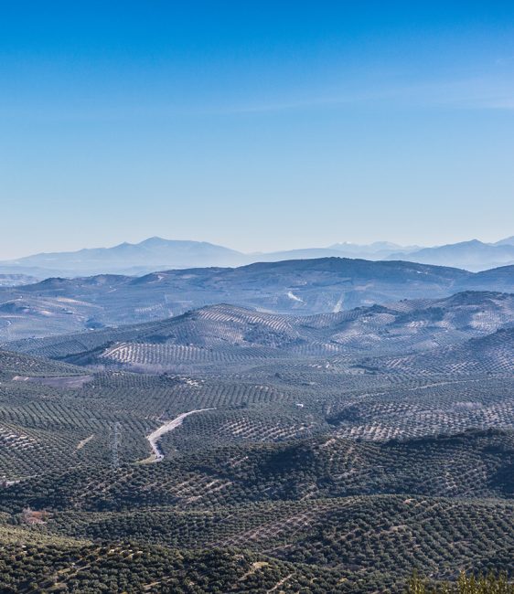 Espacios naturales - Nueva Carteya