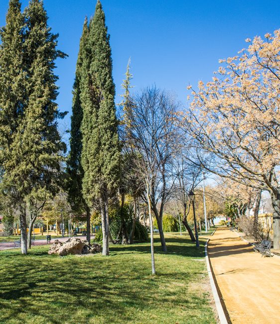 Parque Plácido Fernández Viagas