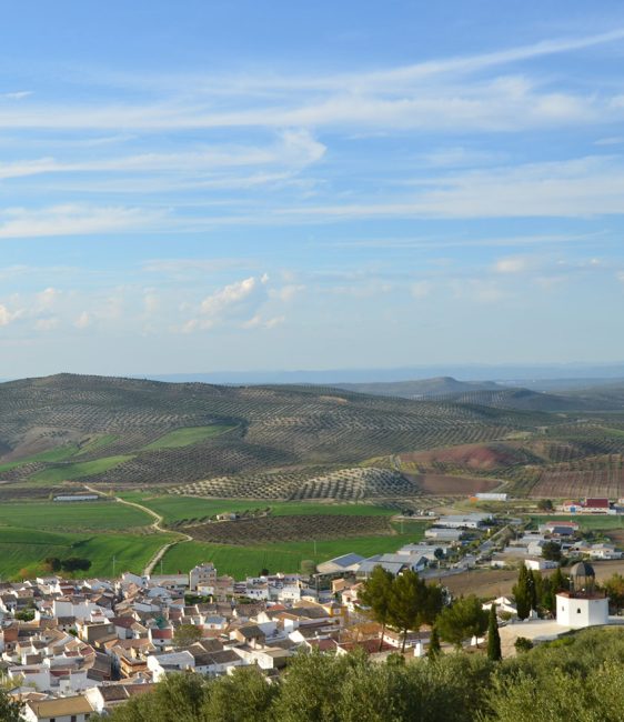 Panorámica Valenzuela
