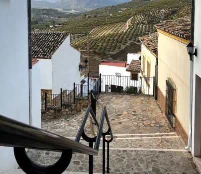 Baena - La Almedina