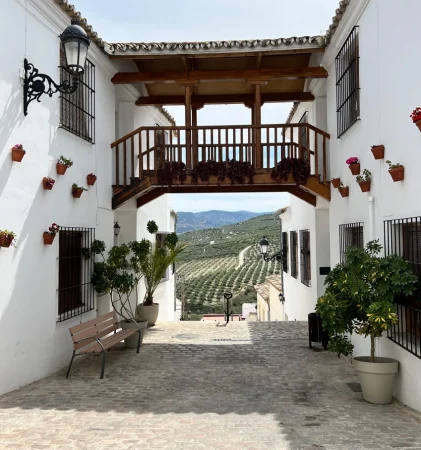 Baena - La Almedina