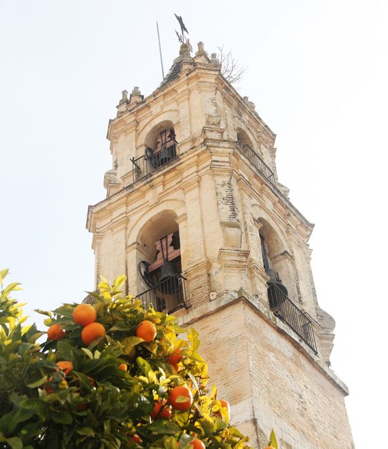 Iglesia de Santa María la Mayor - Baena